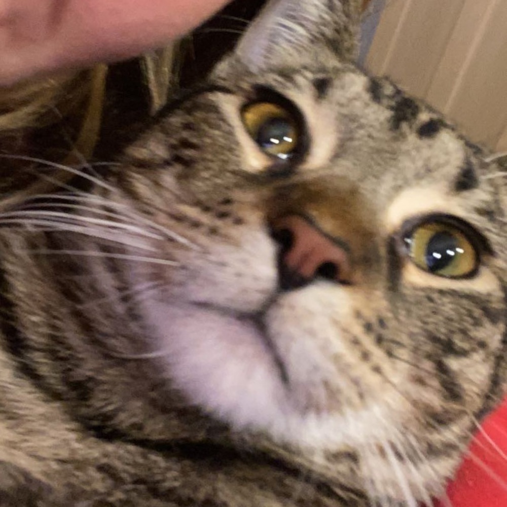 Meet your Posher, Raegan